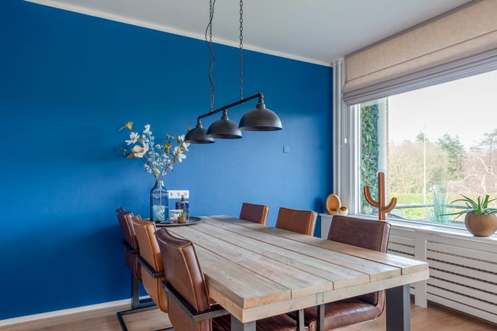 Foto 9 van Koekoeklaan 67