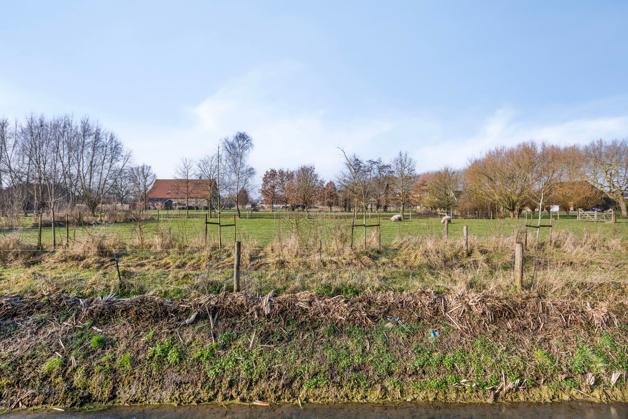 Foto 33 van Kerkstraat 8-B