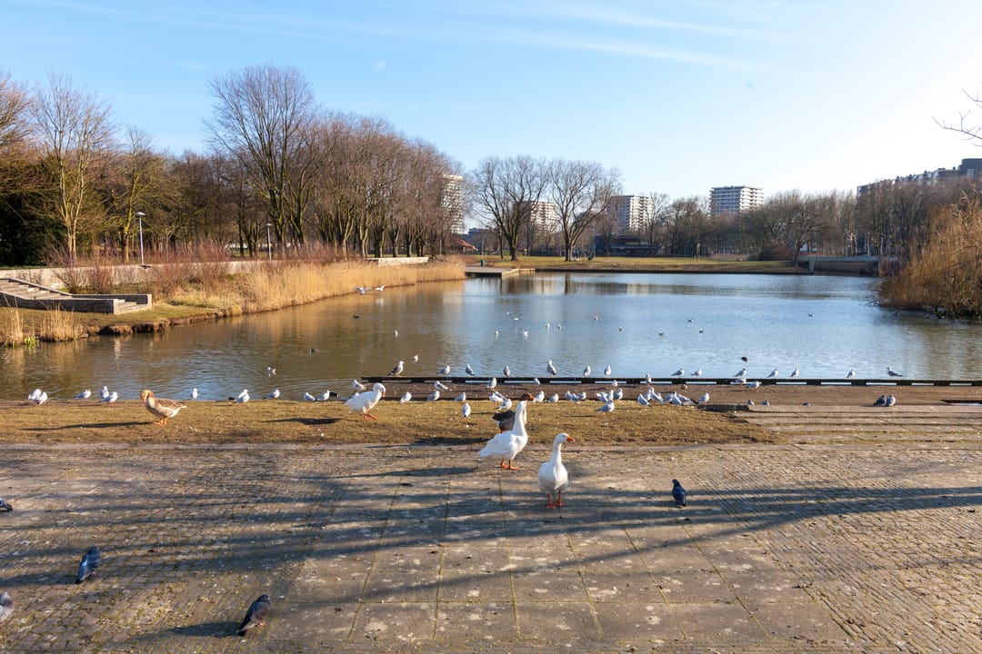 Foto 46 van Van Weerden Poelmanlaan 68