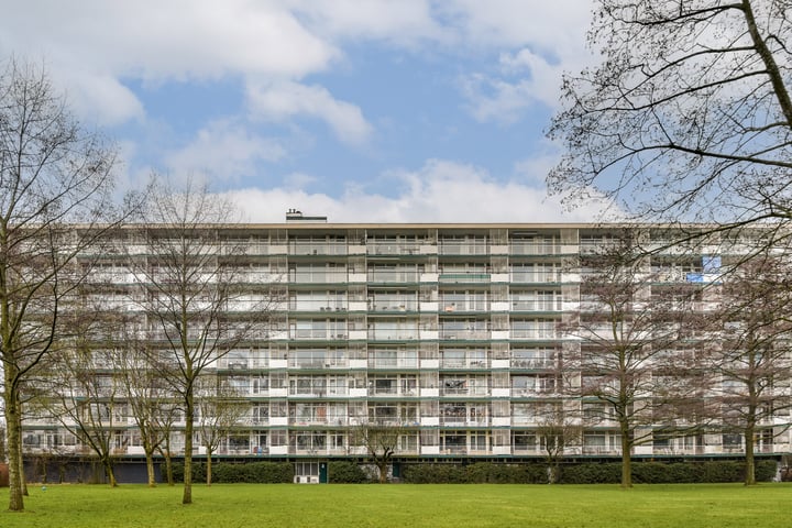Bekijk foto van Tiengemeten 117