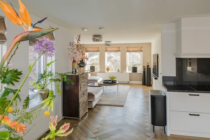 Foto 3 van Zandhaver 47