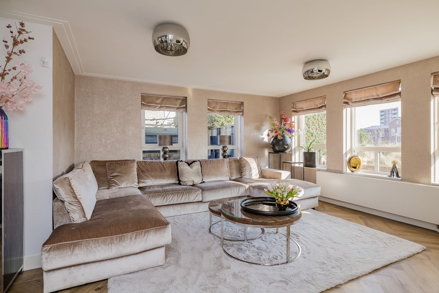 Photo 5 of Zandhaver 47