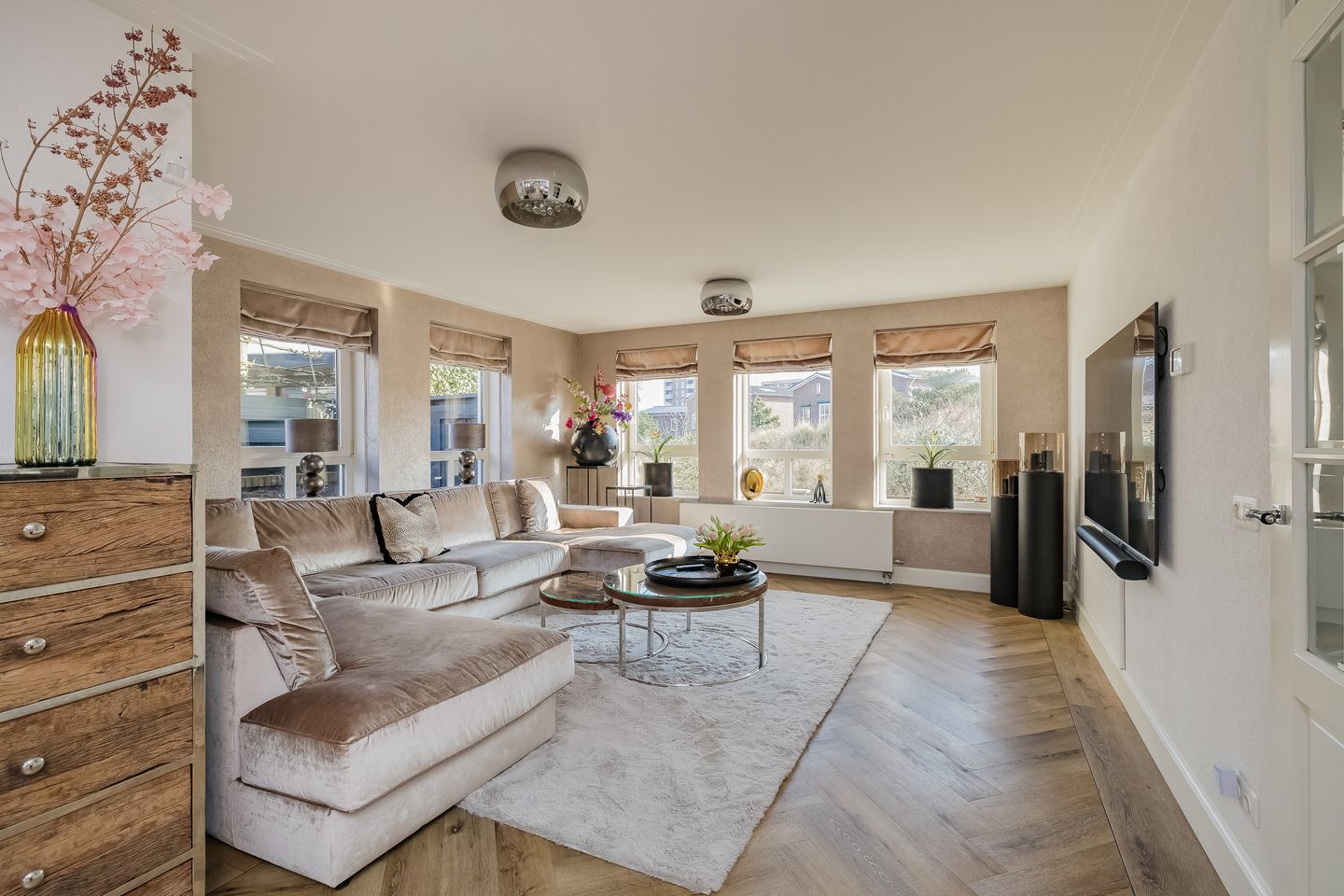 Photo 10 of Zandhaver 47