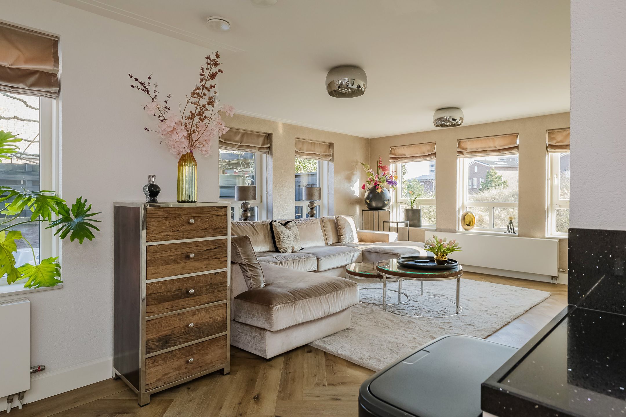 Photo 9 of Zandhaver 47