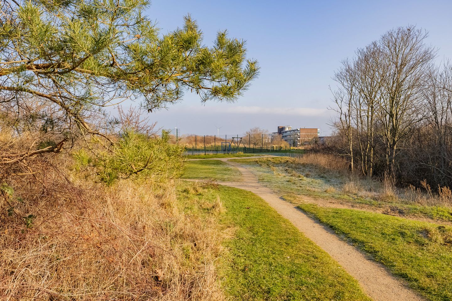 Photo 50 of Zandhaver 47