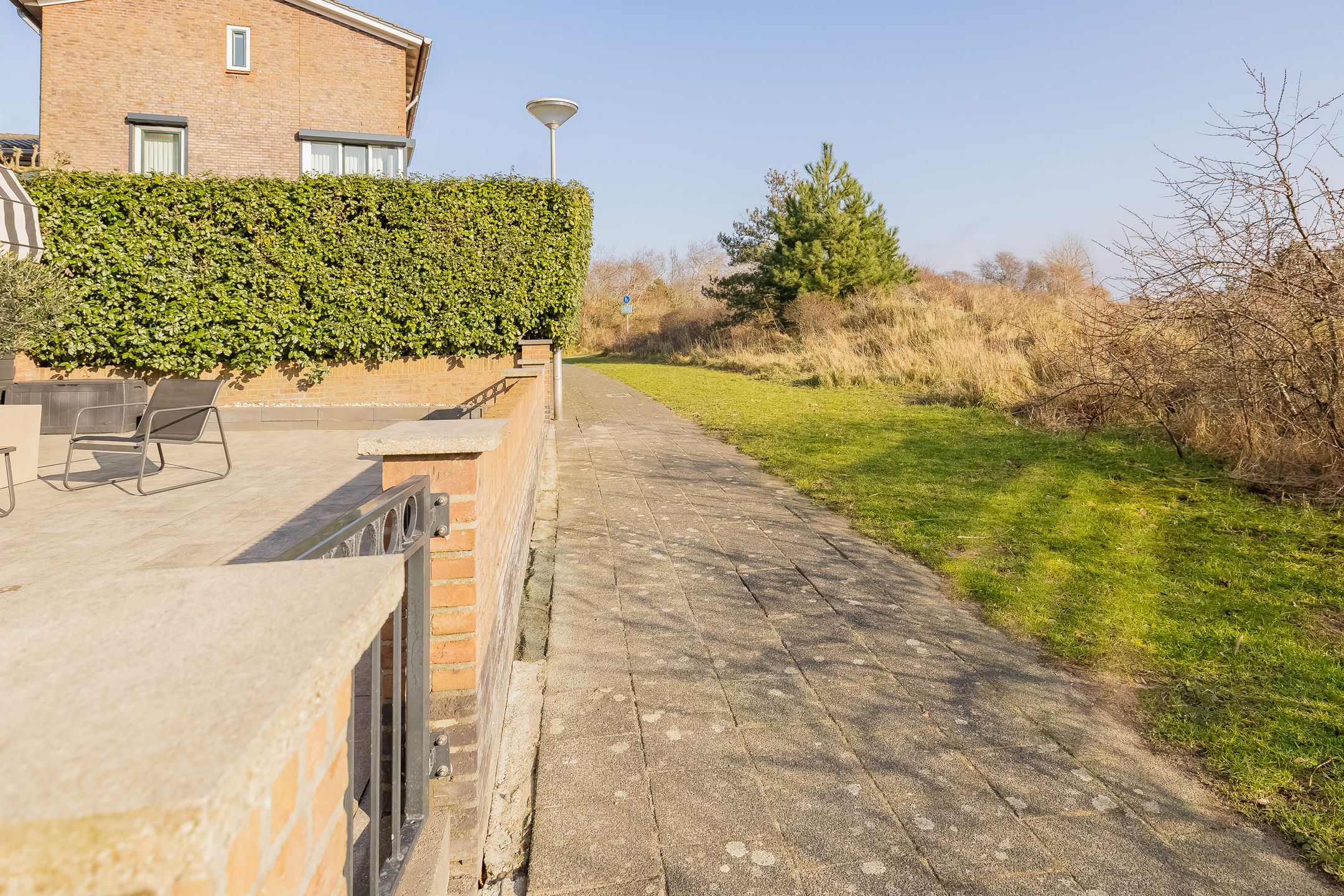 Photo 54 of Zandhaver 47