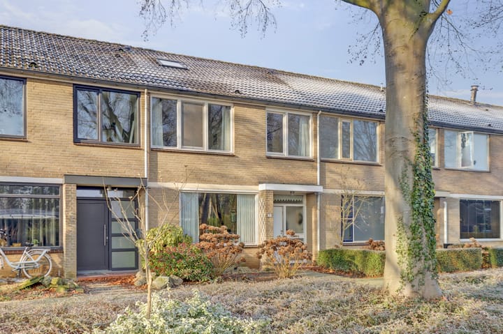 Foto 6 van Rozenobel 7