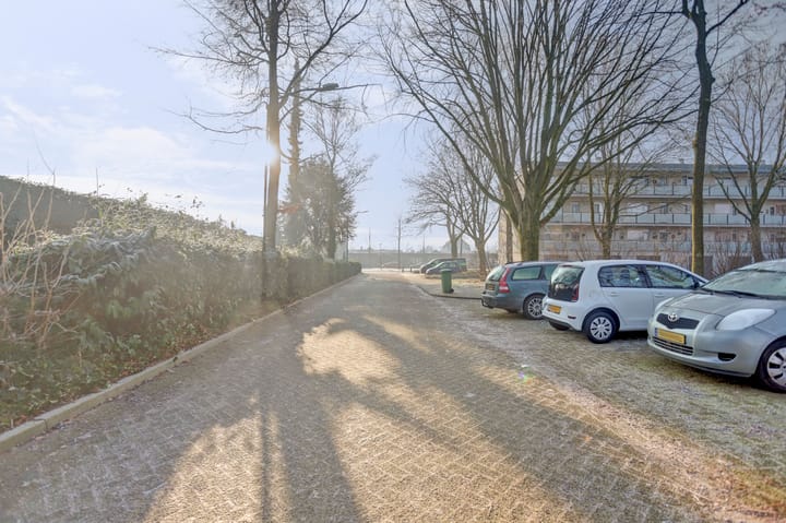 Foto 7 van Rozenobel 7