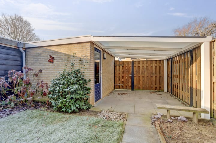 Foto 29 van Rozenobel 7