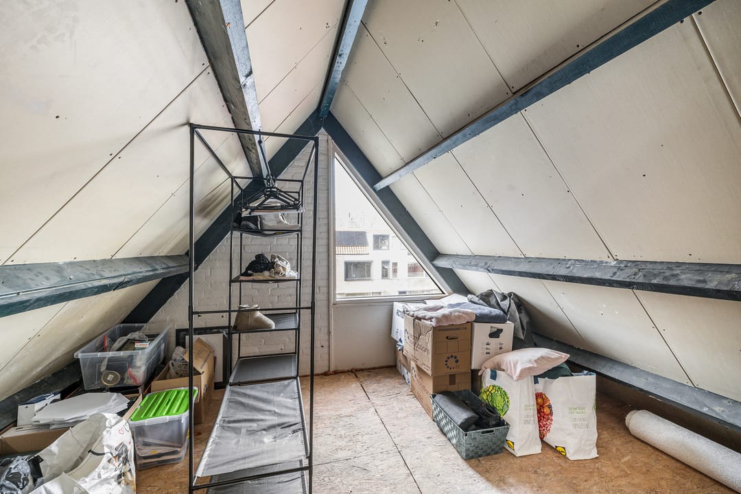 Foto 41 van de Zicht 11