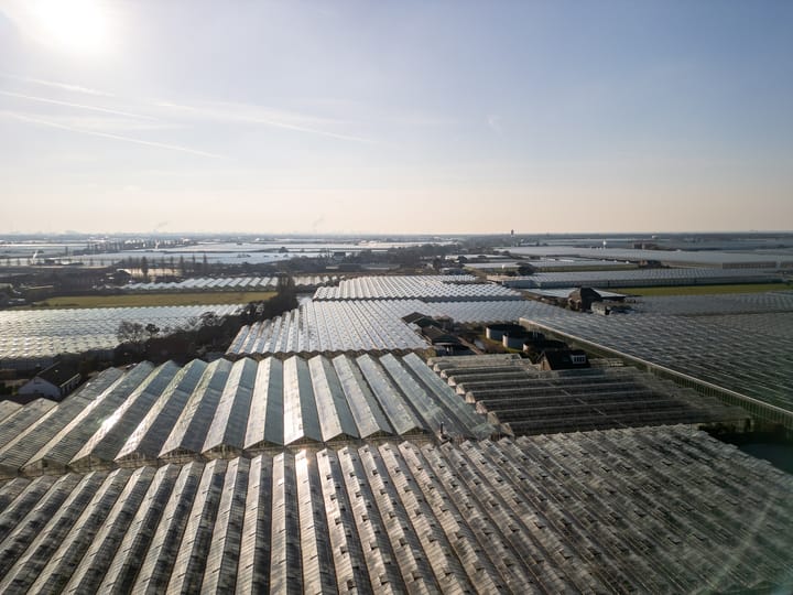 Foto 32 van Vredebestlaan 14