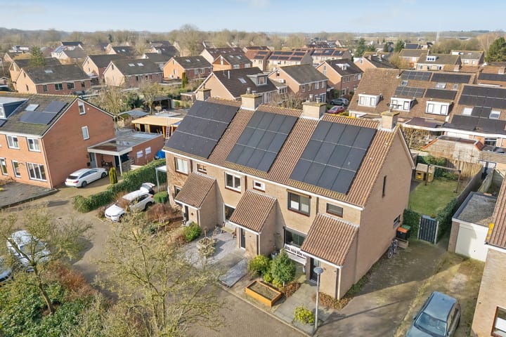 Foto 6 van Roodborst 31