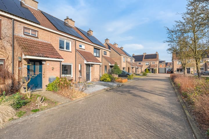 Foto 9 van Roodborst 31