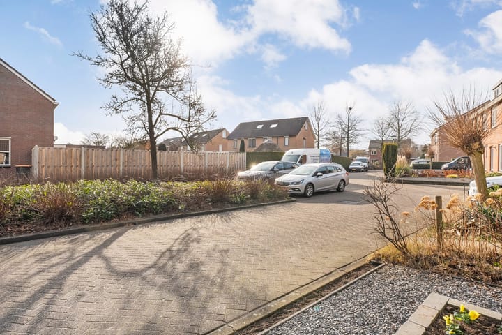 Foto 10 van Roodborst 31