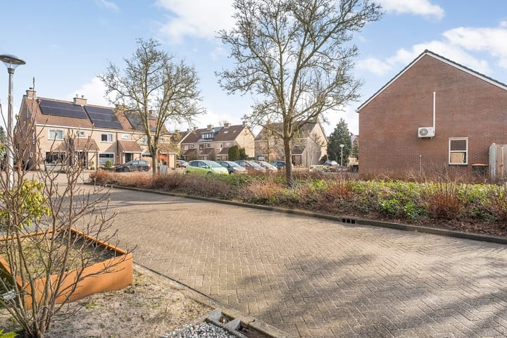 Foto 11 van Roodborst 31