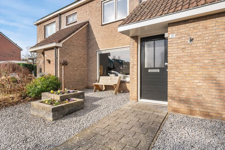 Foto 12 van Roodborst 31