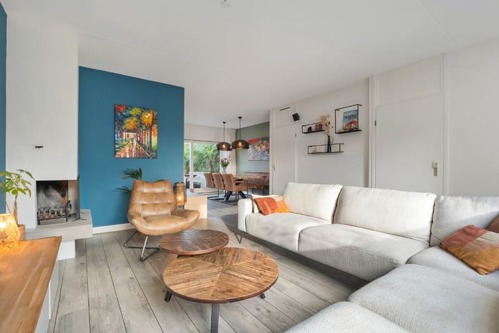 Foto 18 van Roodborst 31