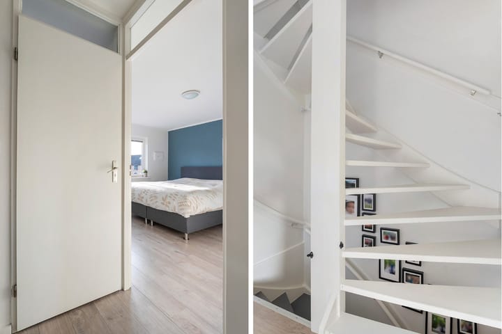 Foto 31 van Roodborst 31