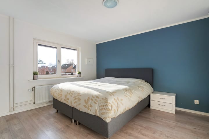 Foto 32 van Roodborst 31