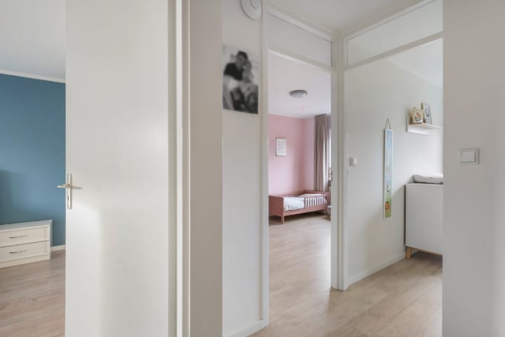 Foto 34 van Roodborst 31