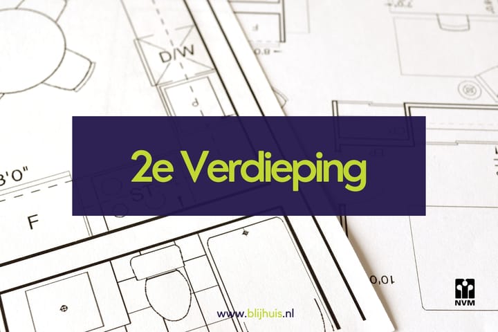 Foto 43 van Roodborst 31