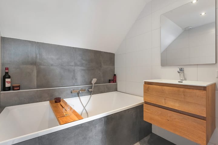 Foto 48 van Roodborst 31