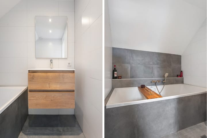 Foto 49 van Roodborst 31