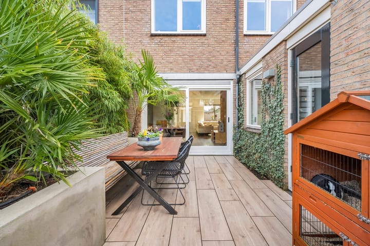 Foto 54 van Roodborst 31