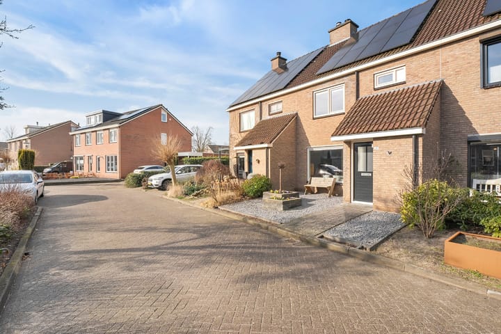 Foto 7 van Roodborst 31