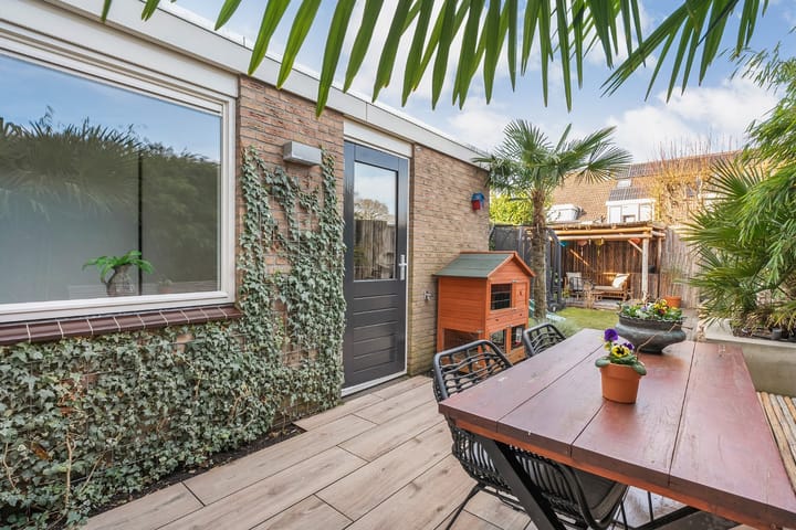 Foto 55 van Roodborst 31