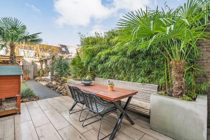 Foto 56 van Roodborst 31