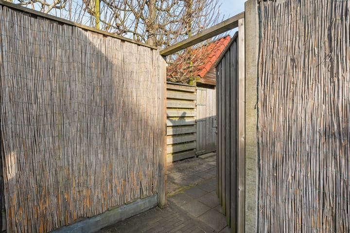 Foto 63 van Roodborst 31