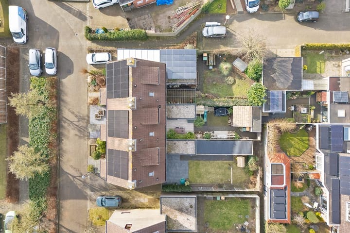 Foto 64 van Roodborst 31