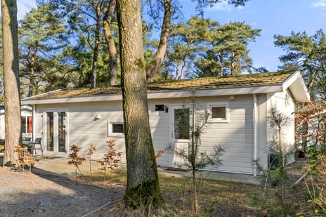 Vijverlaan thumbnail