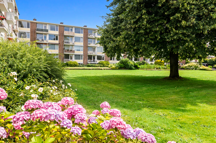 Prins Hendrikplein 66 main image
