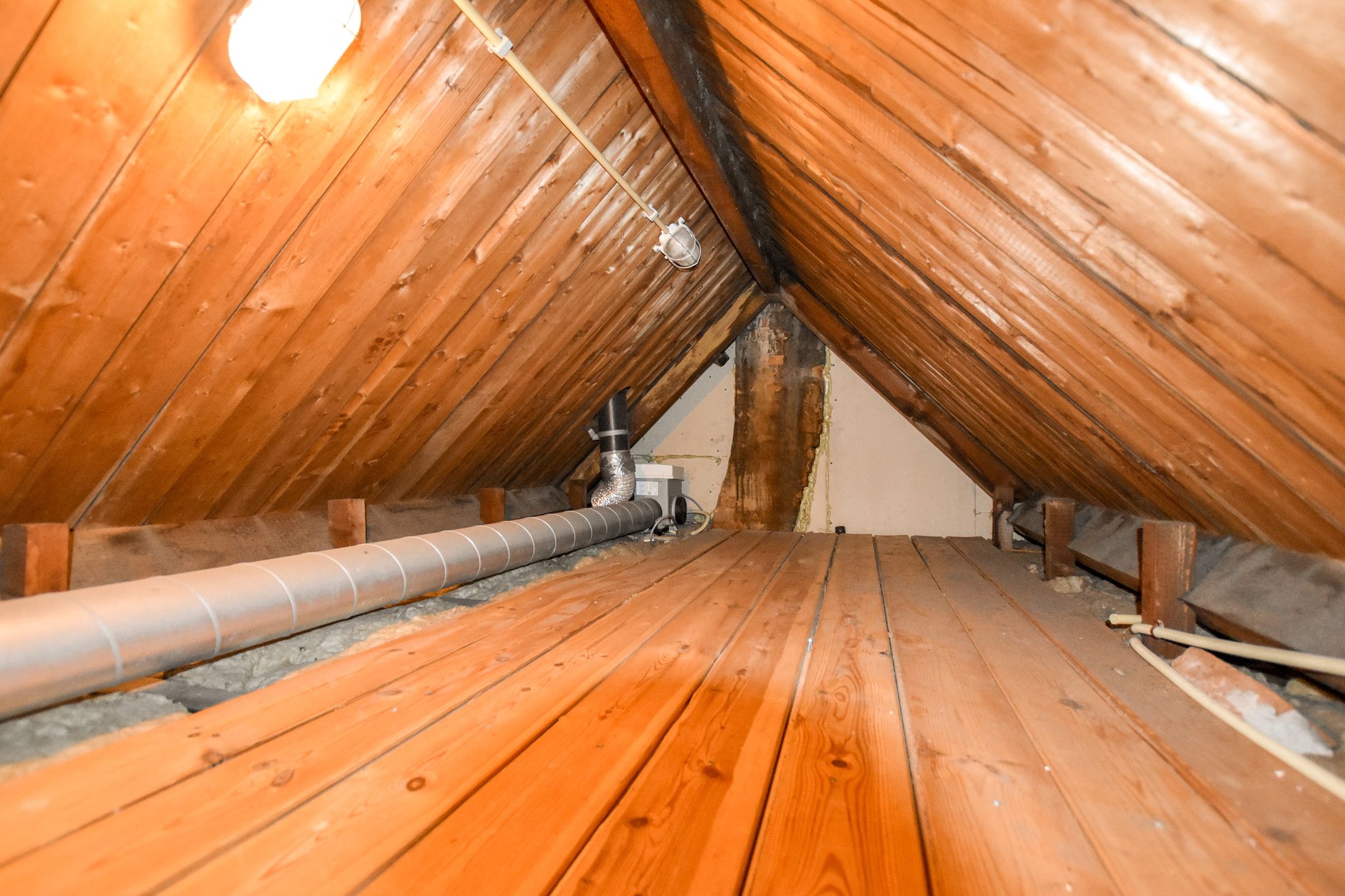 Foto 21 van Distelweg 18