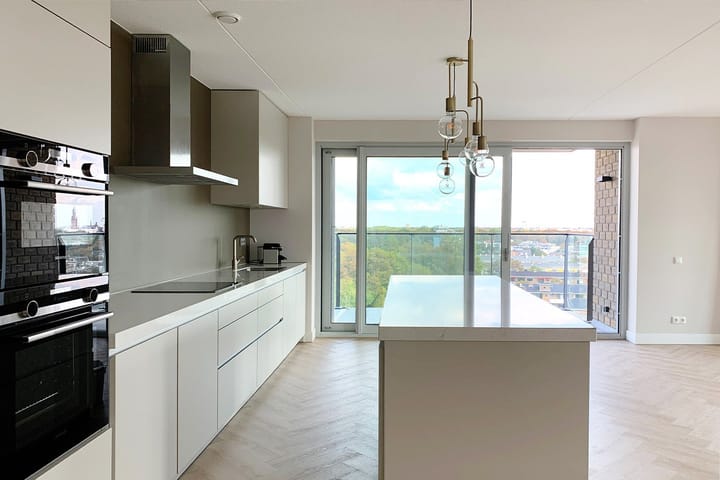 Foto 3 van Stadhoudersplantsoen 252-C