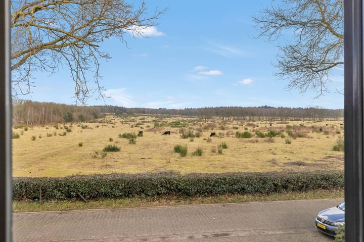 Foto 24 van Zwijnsbergen 25