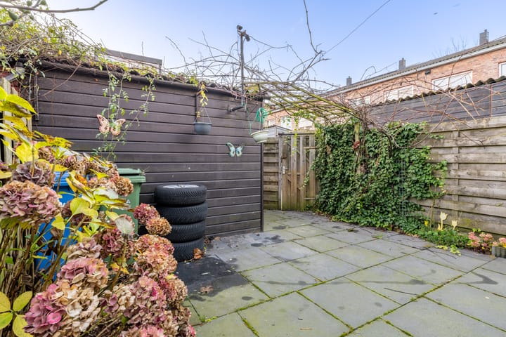 Foto 39 van Tweelingen 18