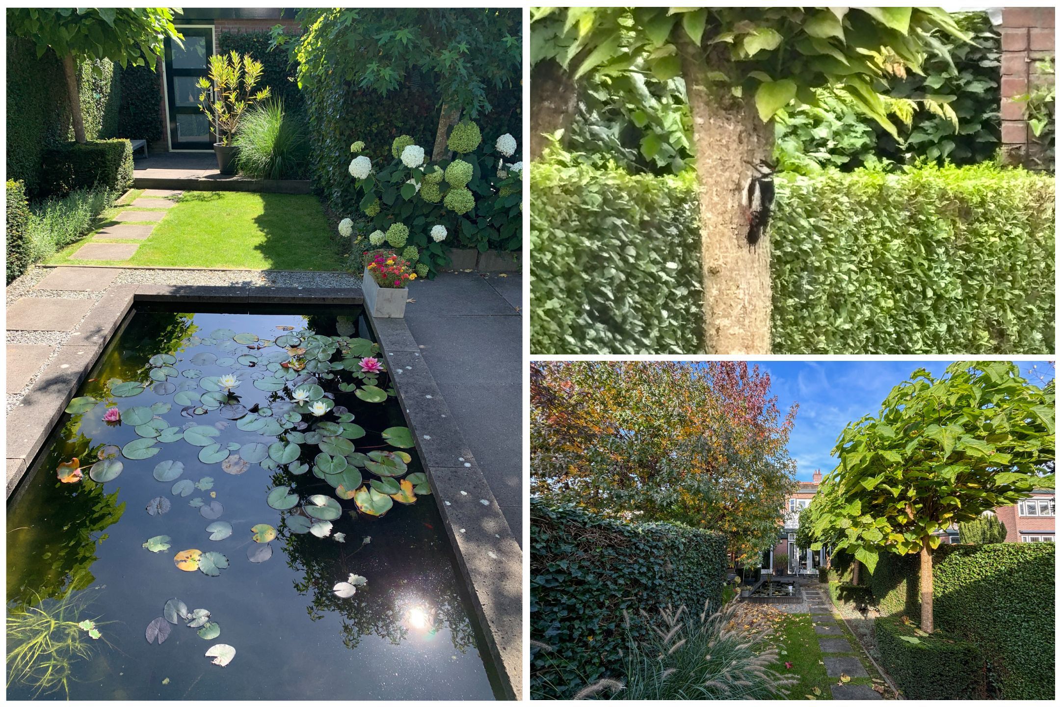 Foto 48 van Bizetlaan 8