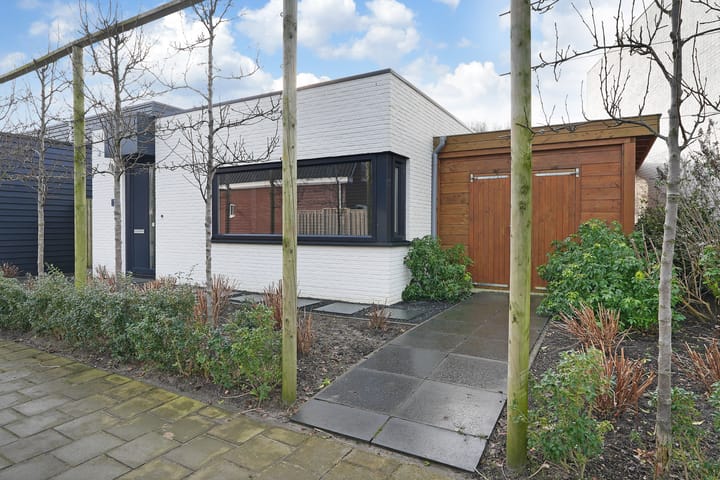 Foto 22 van Meestoof 38