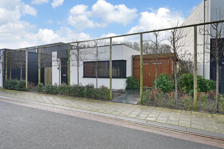 Foto 23 van Meestoof 38