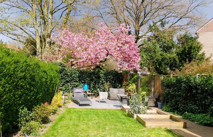 Photo 53 of Prof. Sproncklaan 2