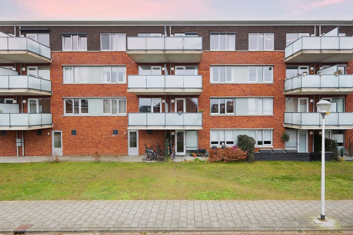 Foto 1 van Buxushaag 74