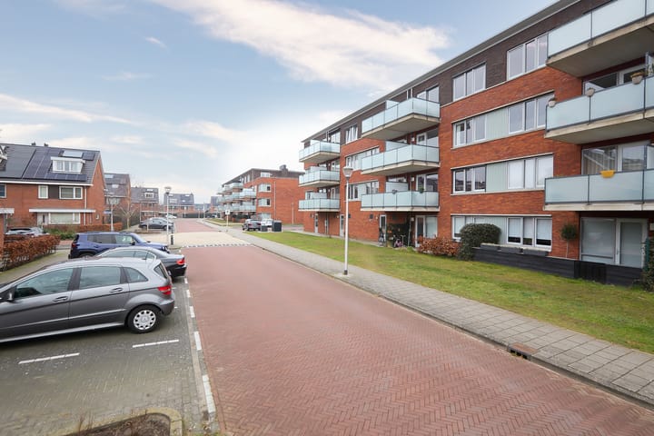 Foto 4 van Buxushaag 74