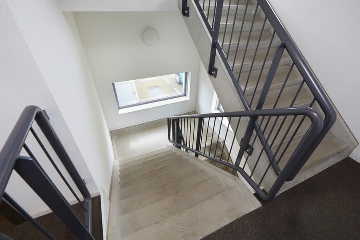 Foto 7 van Buxushaag 74