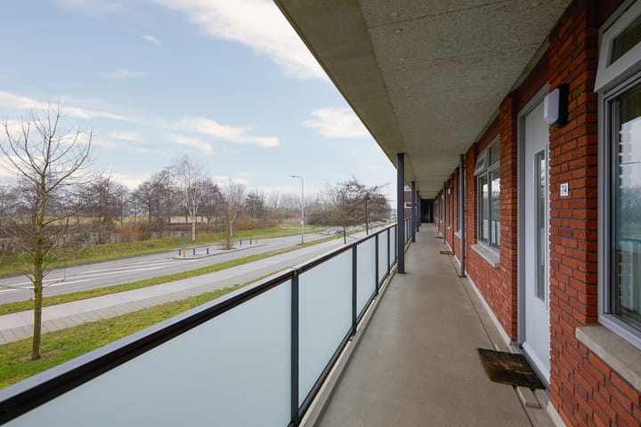 Foto 10 van Buxushaag 74