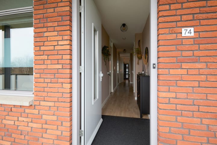 Foto 11 van Buxushaag 74