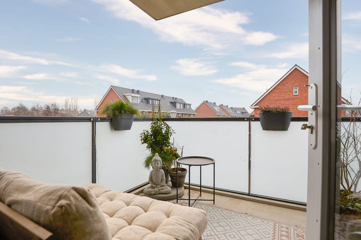 Foto 20 van Buxushaag 74