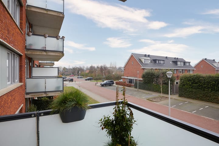 Foto 23 van Buxushaag 74